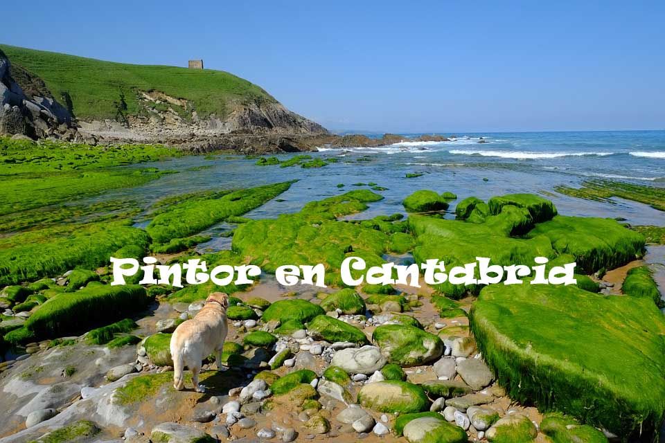 Pintores en Medio Cudeyo
